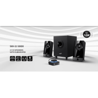 Genius SW-2.1 300X 