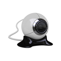 Webcams (1)